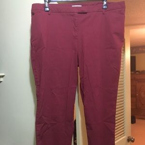 Size 20w Dahlia maroon pants